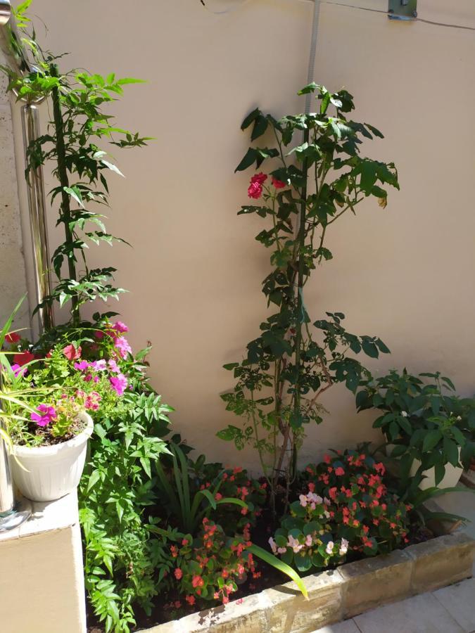 Apartments Rafaela كورتْشولا المظهر الخارجي الصورة